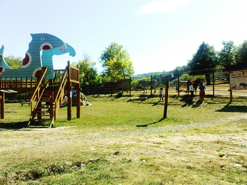 ZOO 012.jpg