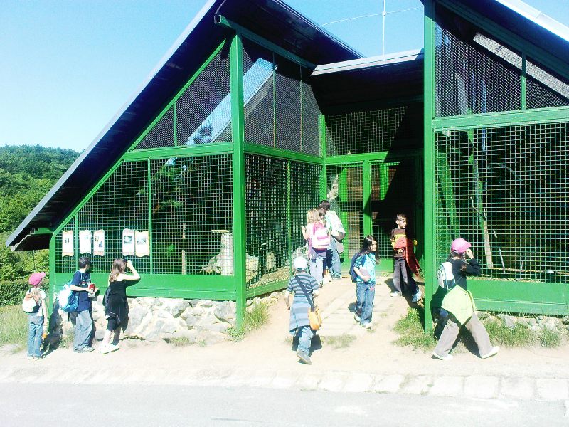 ZOO 014.jpg
